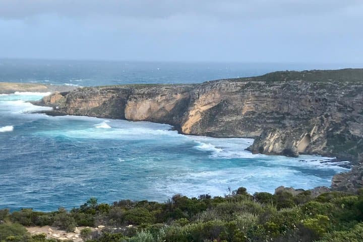 Kangaroo Island Nature and Wildlife Day Tour
