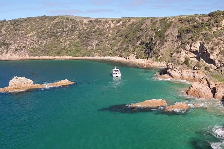 Cape Woolamai Sightseeing Cruise from San Remo image 3