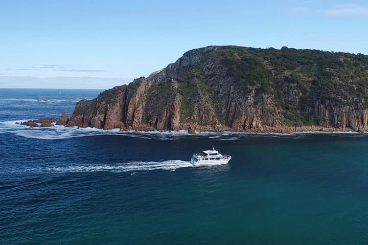 Cape Woolamai Sightseeing Cruise from San Remo image 2