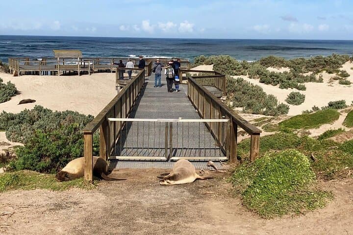 Small Group Kangaroo Island 4WD Tour image 3