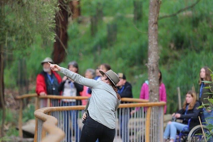 Wildlife Wonders Guided Walk