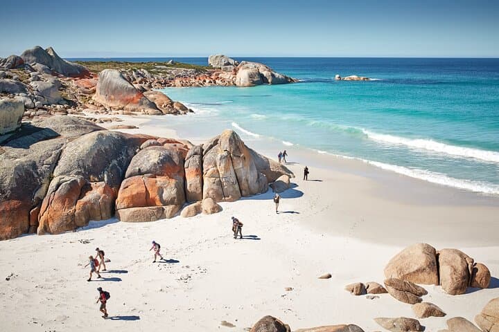 larapuna / Bay of Fires Hiking Tour - 4 Days