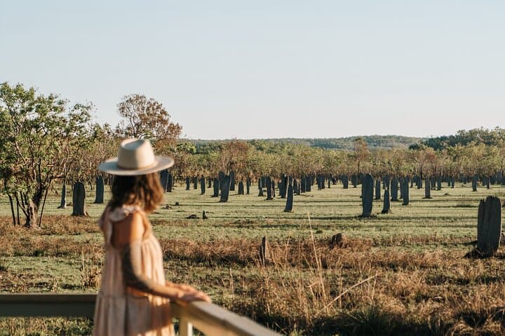Small-Group Litchfield Day Tour from Darwin