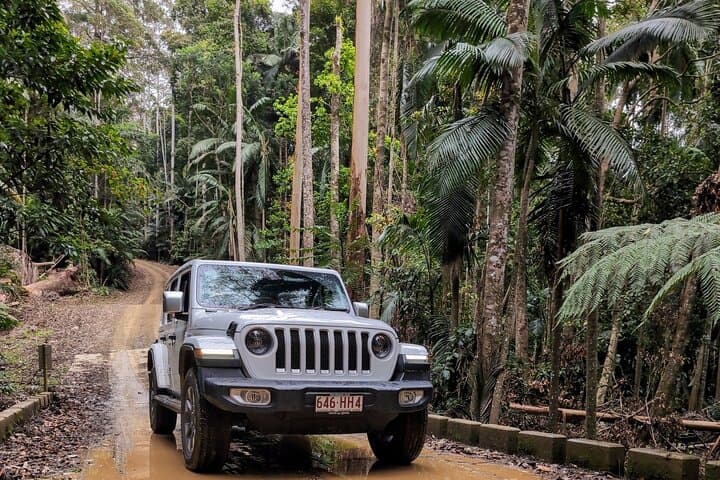 Booloumba Falls and Creek 4WD Adventure