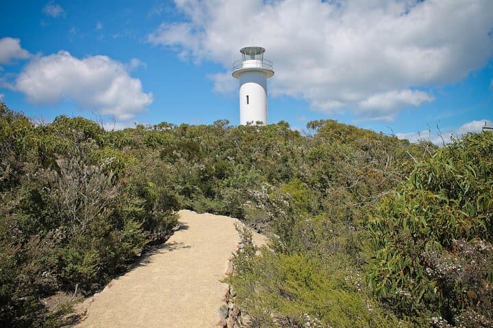 Wineglass Bay Day Tour from Launceston to Hobart image 3