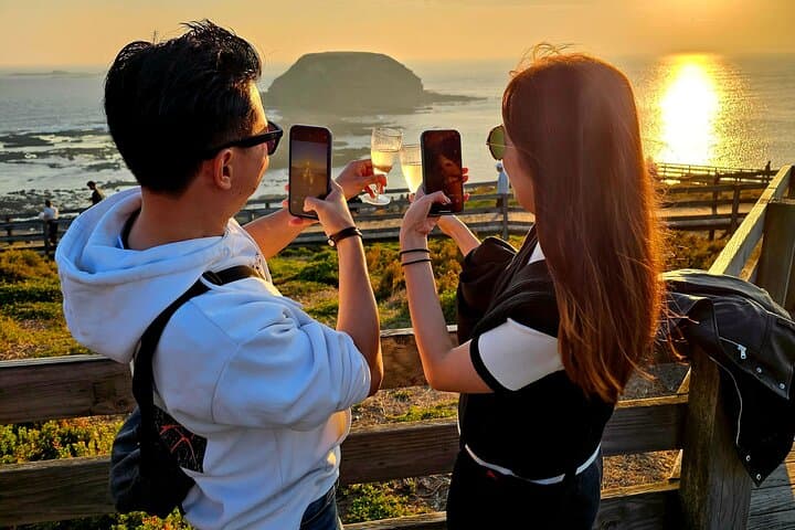 Phillip Island Golden Hour Penguin Tour with Island Pickup image 3