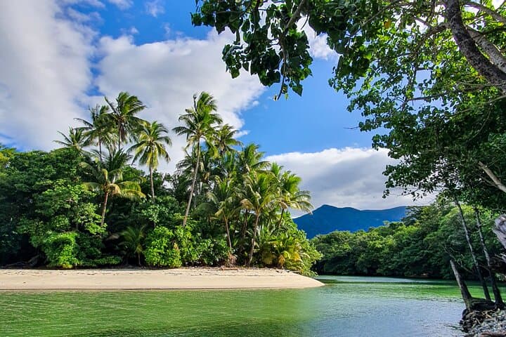 Private Daintree Dream Tour