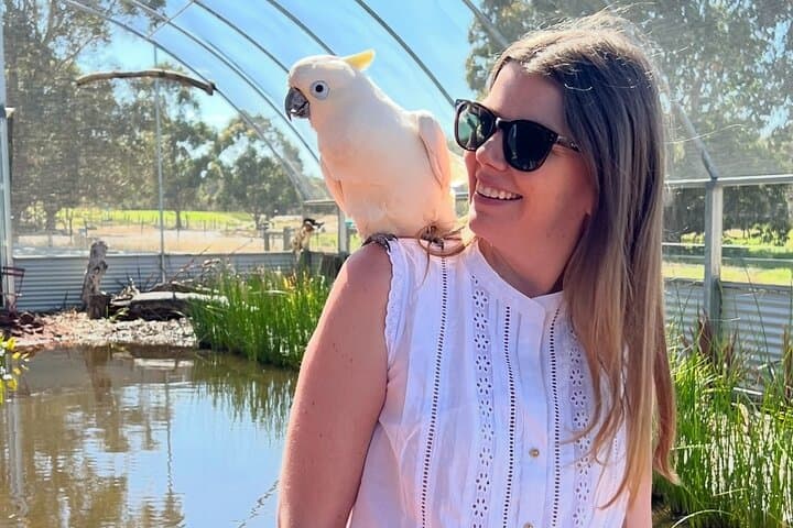 Wheatbelt and New Norcia Day Tour from Perth image 2