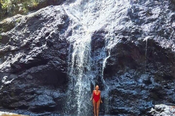 Private 4WD Rainforest Adventure to Booloumba Falls image 3