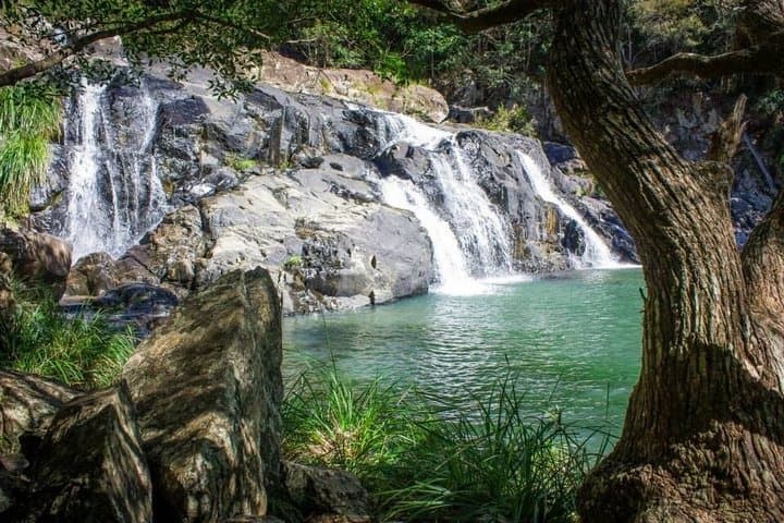 Private 4WD Rainforest Adventure to Booloumba Falls