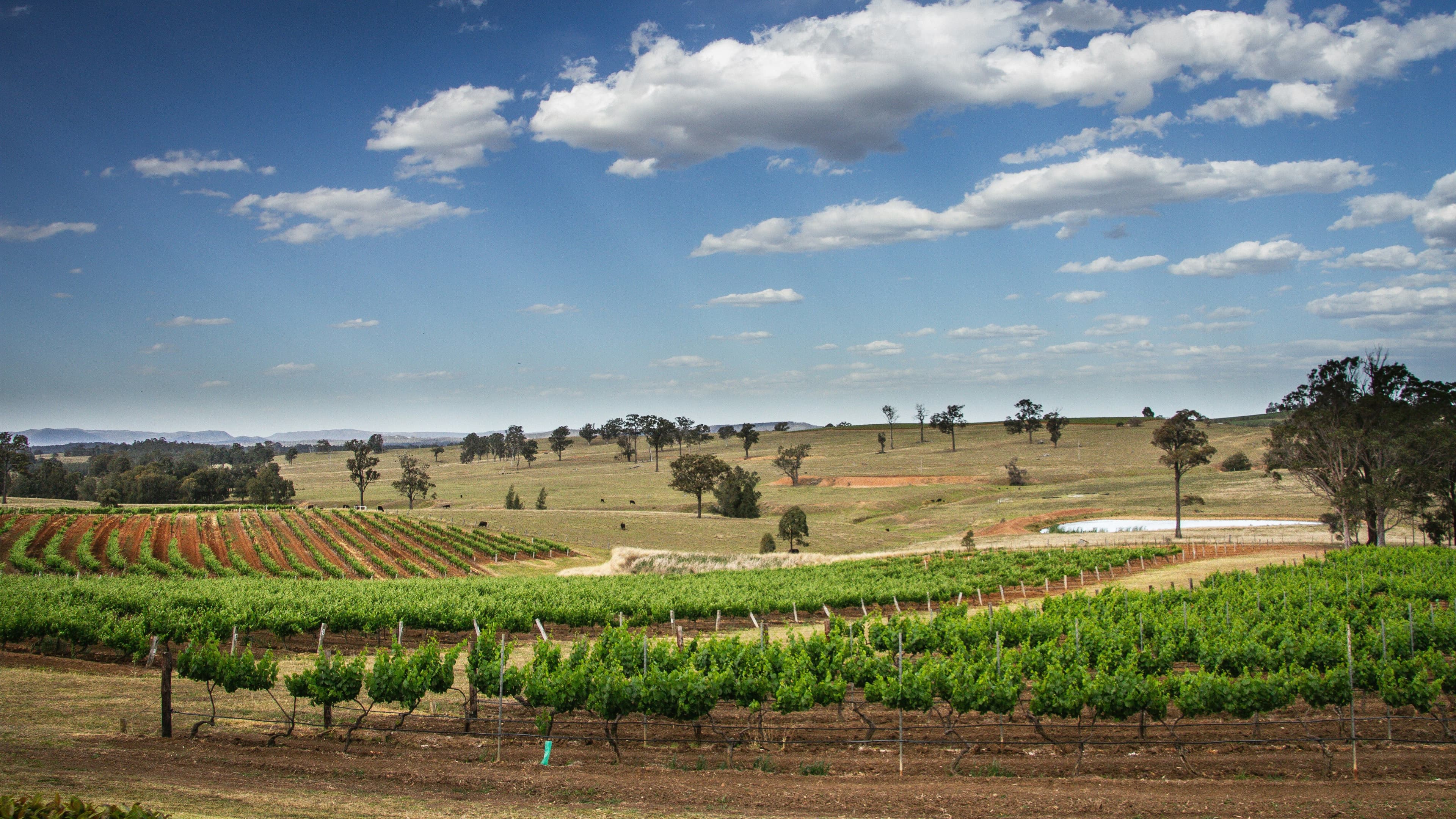 Hunter Valley — destination