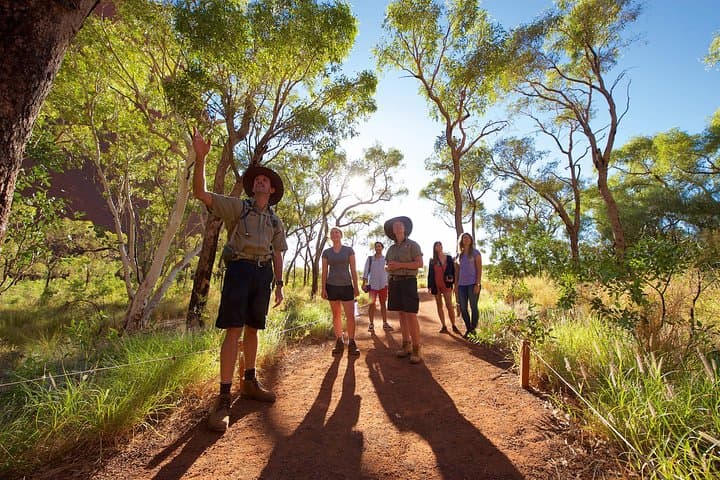 Uluru Small Group Sunset Tour image 2