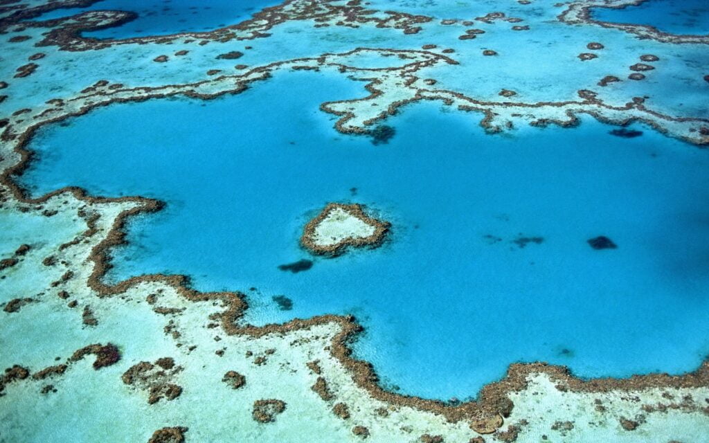 Find the best time to visit australia as a backpacker 8 Great barrier reef - brisbane backpackers - helicopter aerial