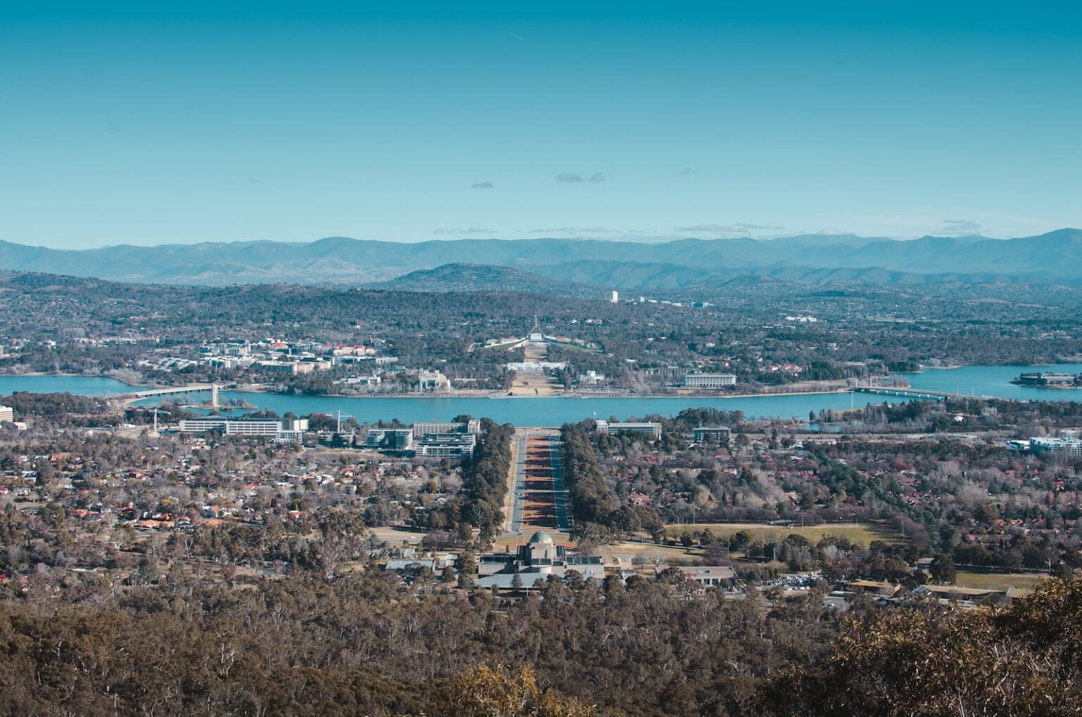 cityscape during daytime
