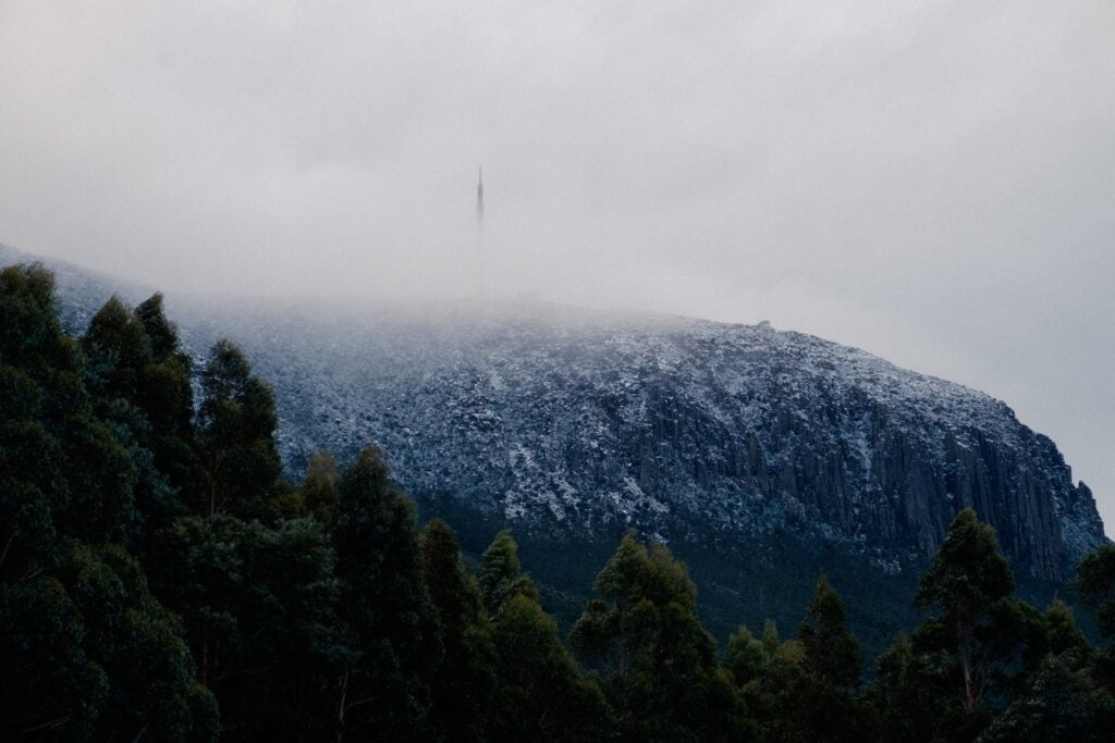 Green trees on mountain under white sky during daytime