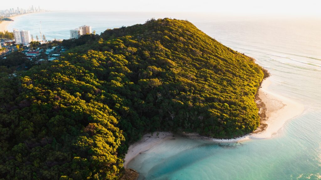 Find the best time to visit australia as a backpacker 14 Green trees on mountain near body of water during daytime - best time of year to go backpacking in australia - queensland - backpackers queensland - northern queensland beach
