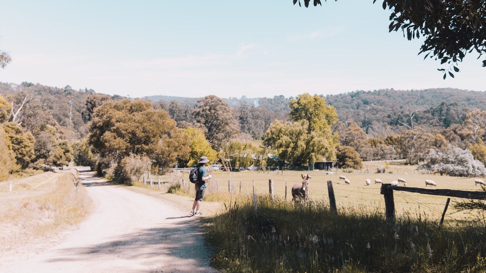 Getting your working holiday visa to australia 3 A man riding a skateboard down a dirt road - working holiday visa farm work - backpacker farm work - backpacker jobs