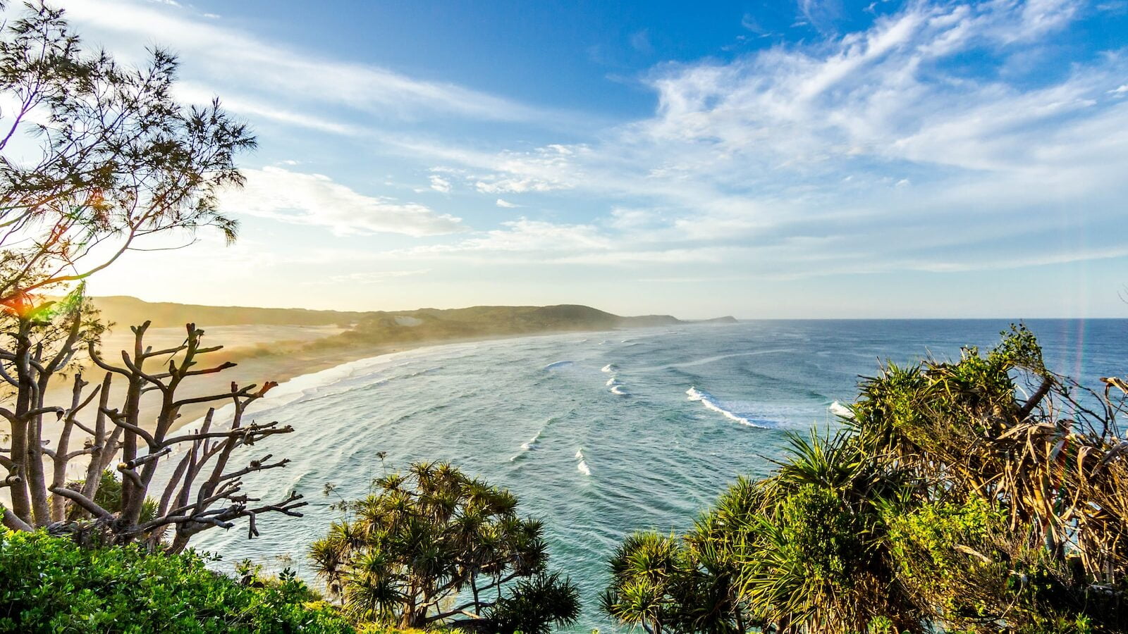Ultimate backpackers guide to east coast australia 3 Landscape photograph of trees near sea - fraser island backpackers - backpackers - travel east coast travel - east coast of australia
