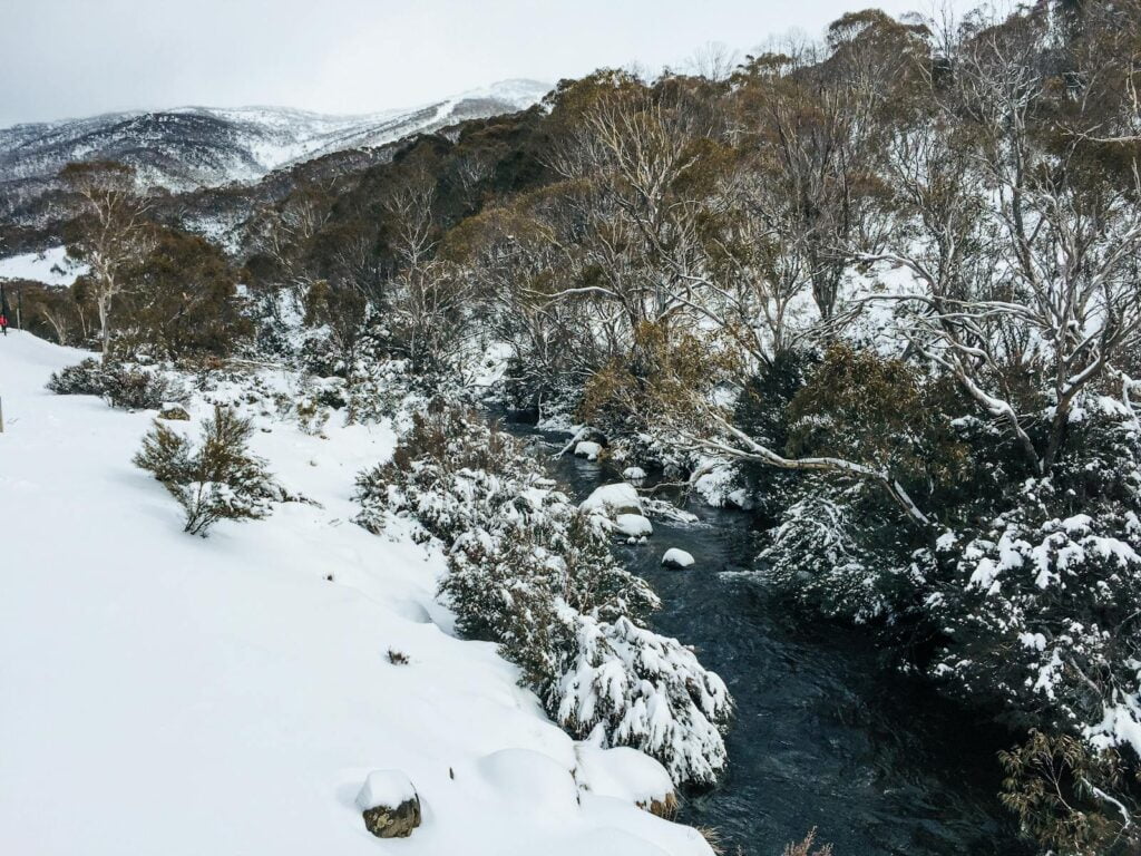 Our 6 epic backpacker camping & hiking trips you won't regret 6 backpackers hiking and camping at the snowy mountains australia